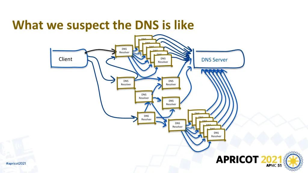 what we suspect the dns is like