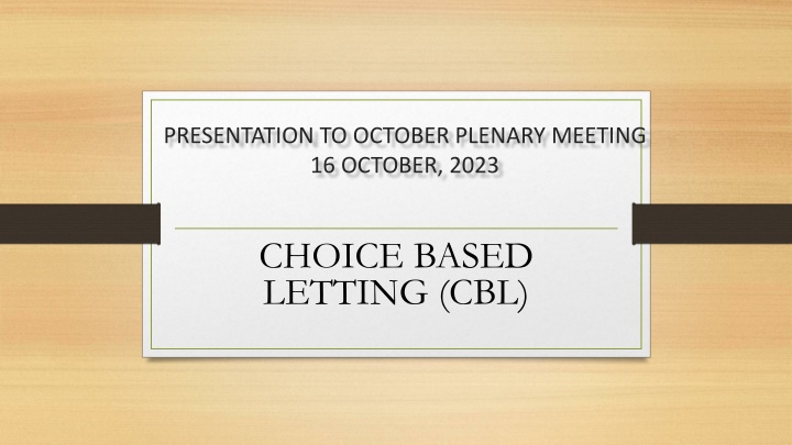 presentation to october plenary meeting