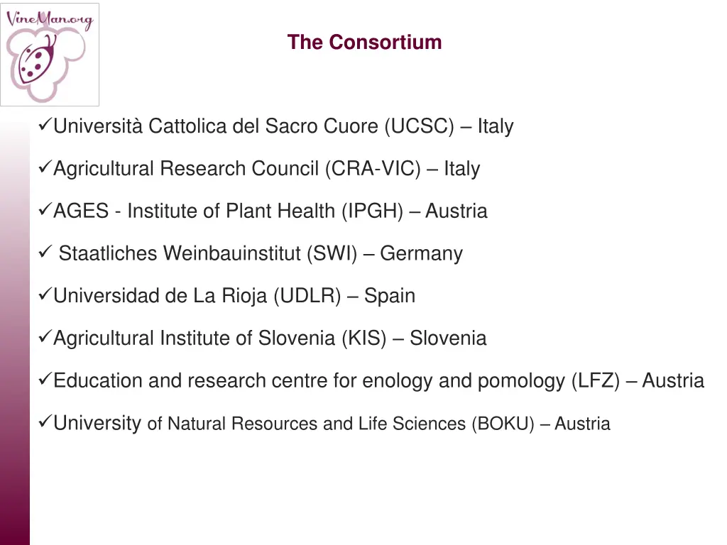 the consortium