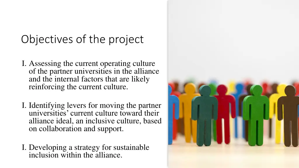 objectives of the project