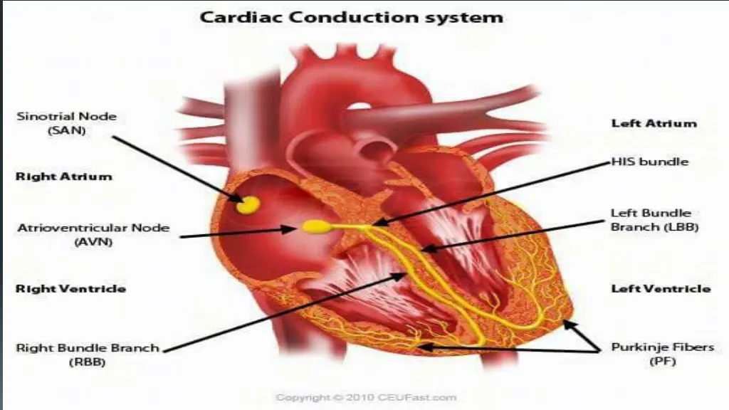 slide6