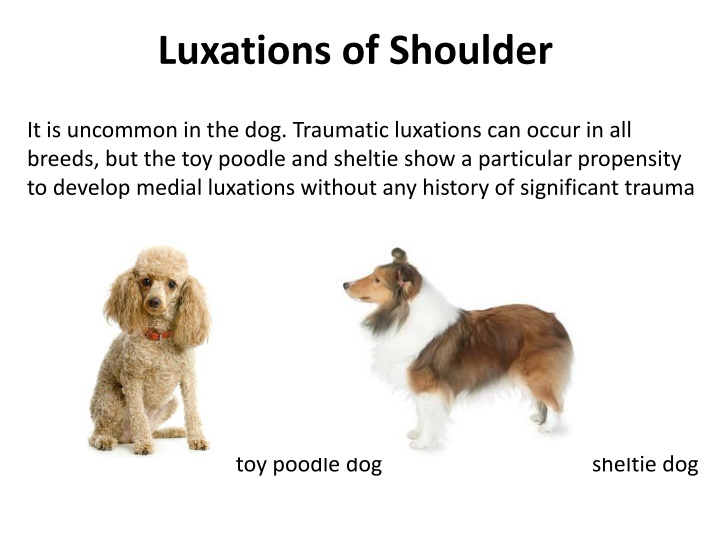 luxations of shoulder