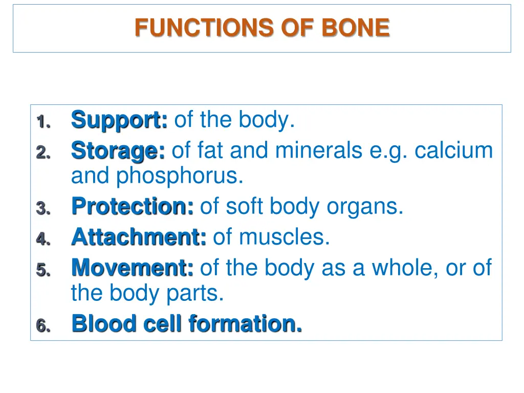 functions of bone
