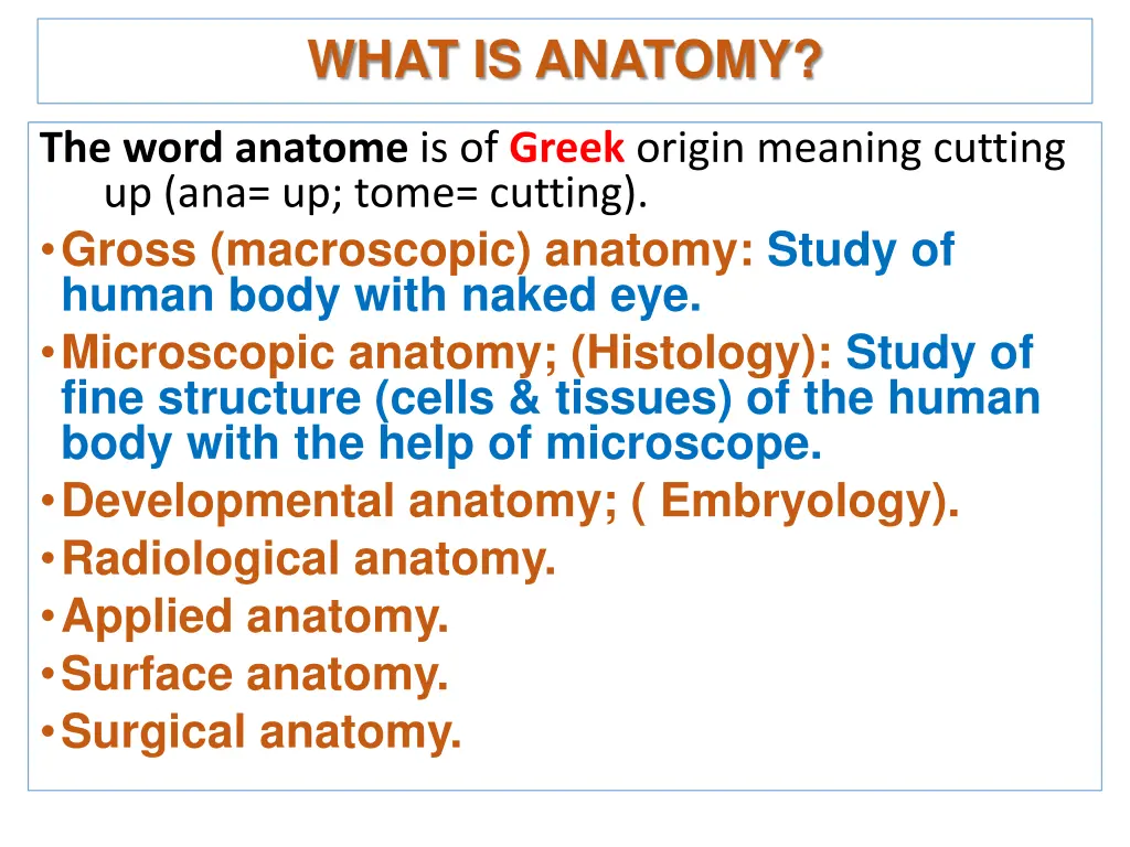 what is anatomy