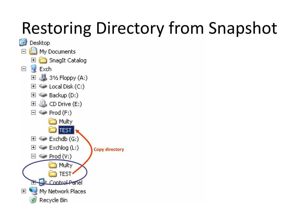 restoring directory from snapshot