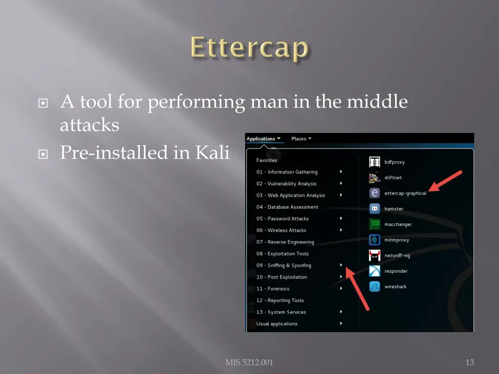 a tool for performing man in the middle attacks