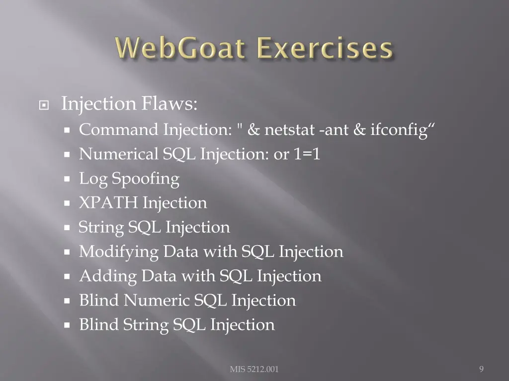 injection flaws command injection netstat
