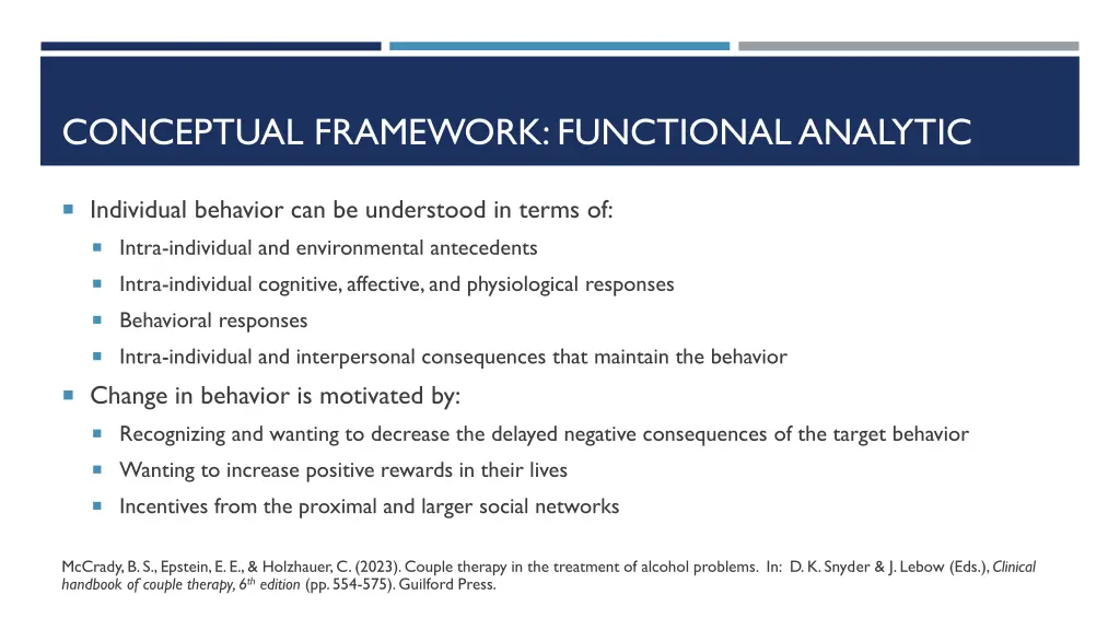 conceptual framework functional analytic