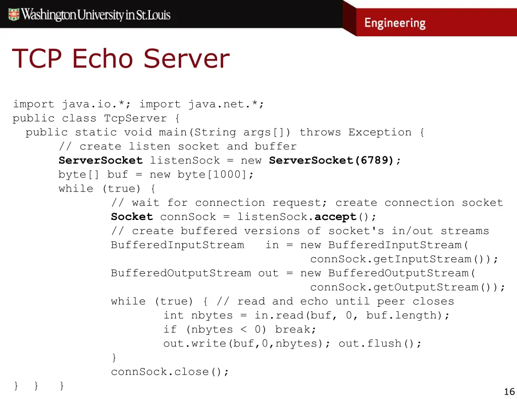 tcp echo server