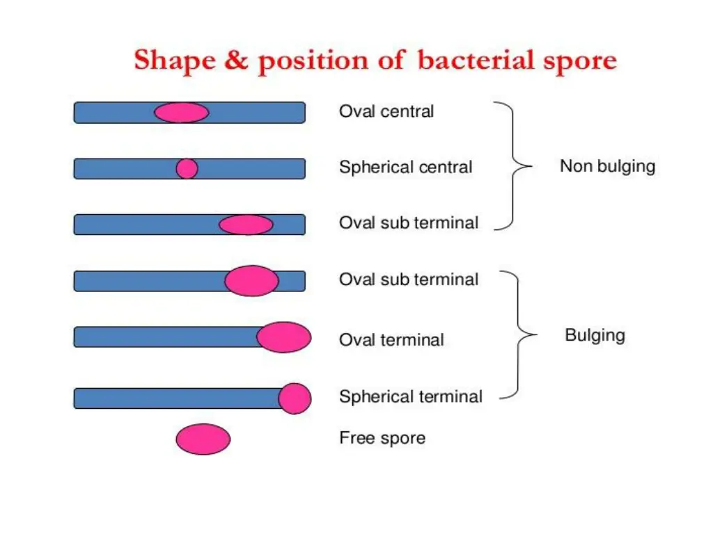 slide3