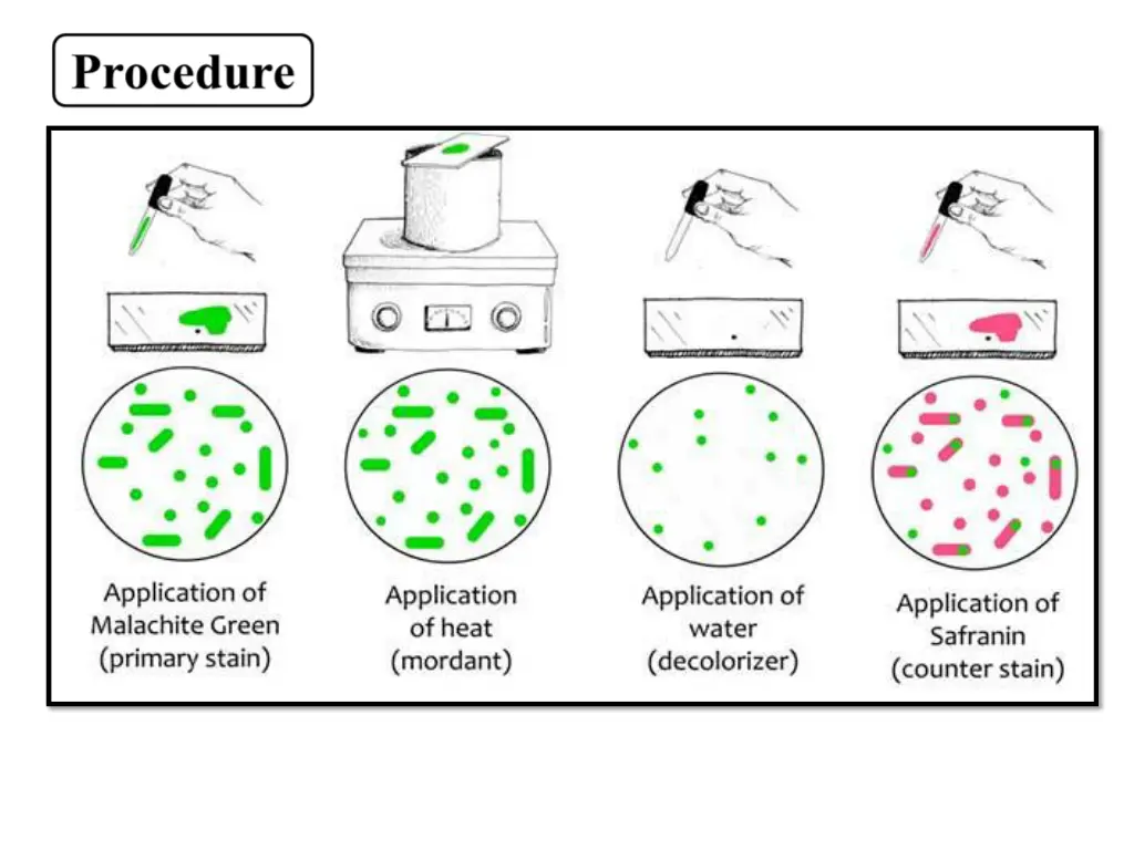 slide5