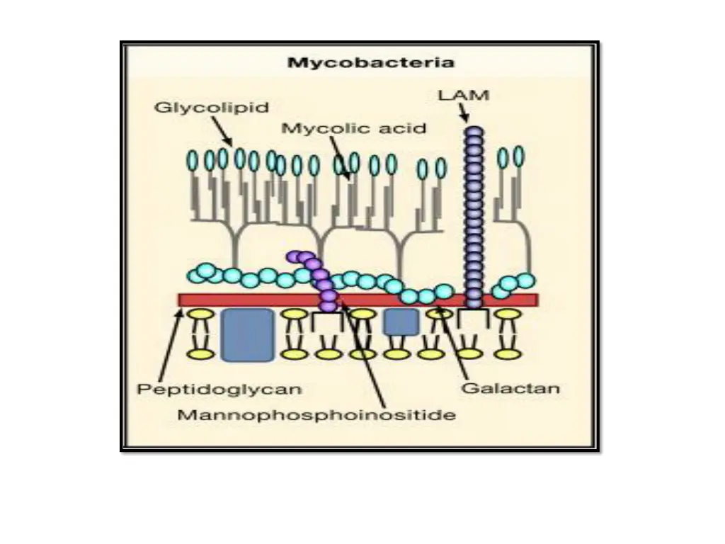 slide9