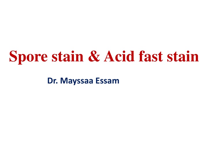 spore stain acid fast stain