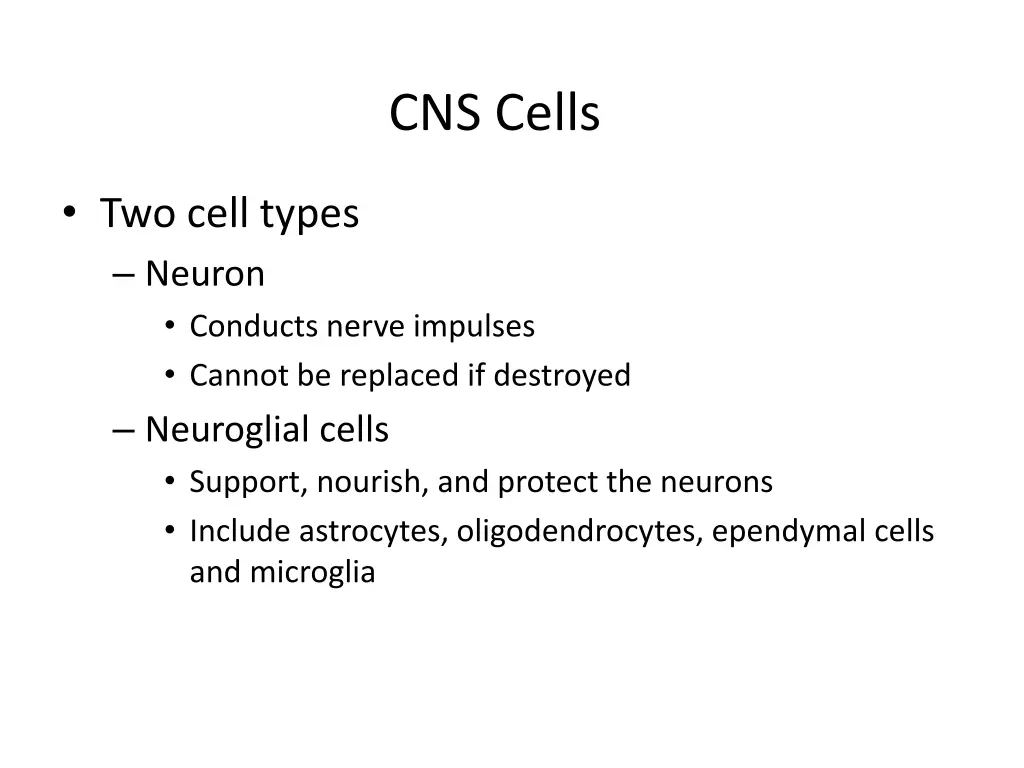 cns cells
