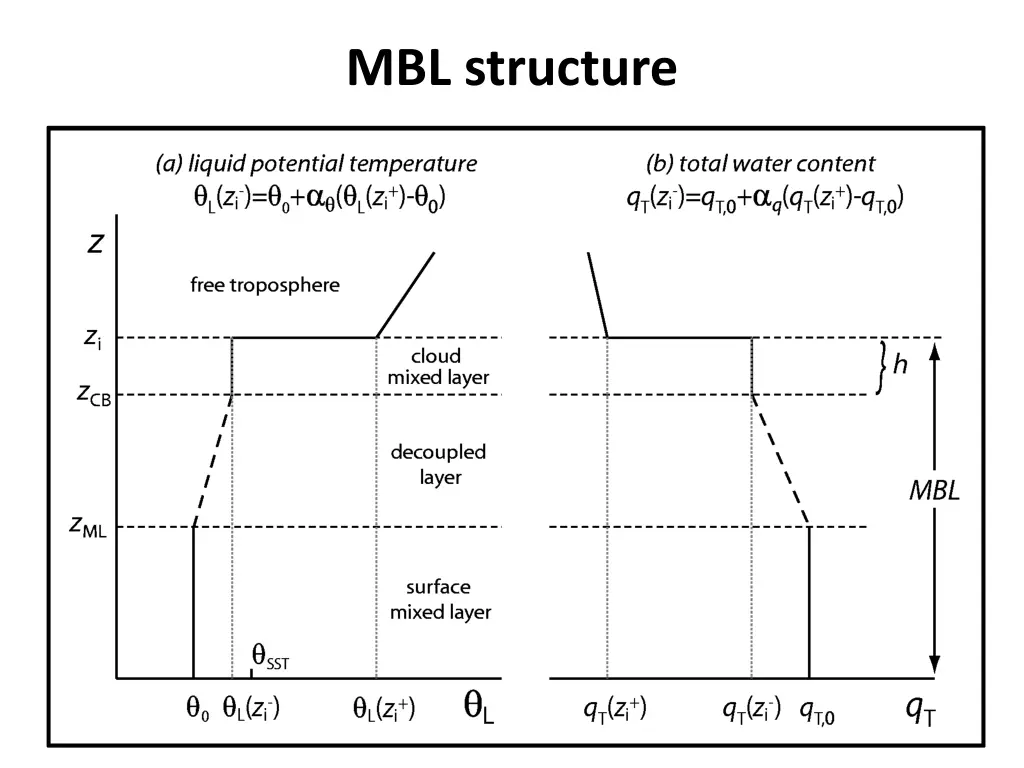 mbl structure