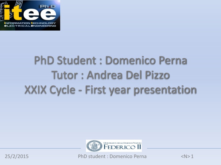 phd student domenico perna tutor andrea del pizzo