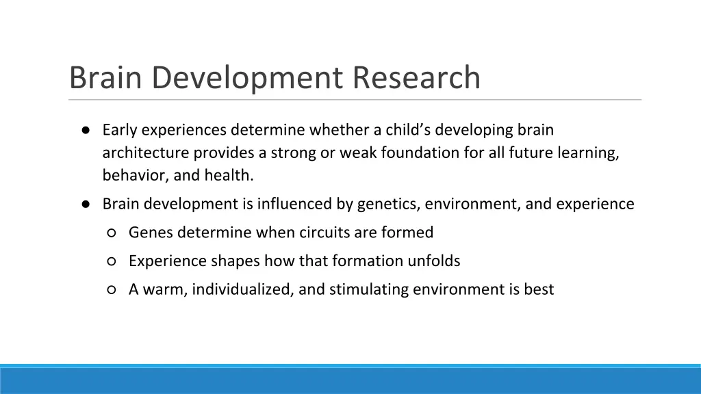 brain development research