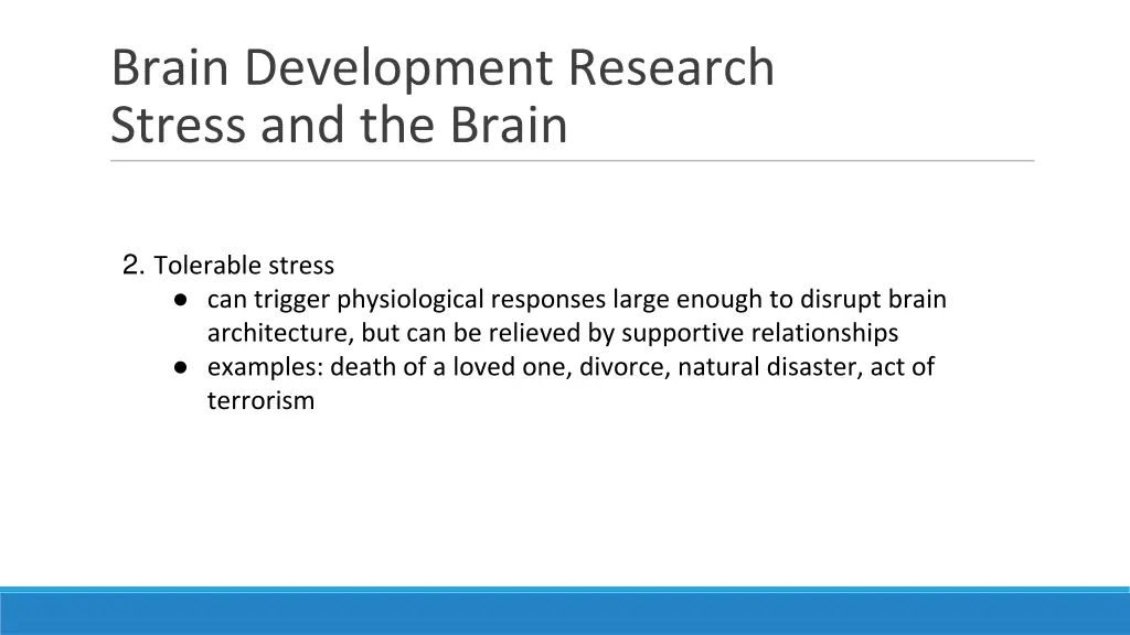 brain development research stress and the brain 1