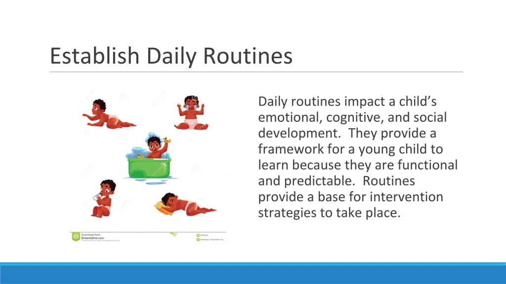establish daily routines