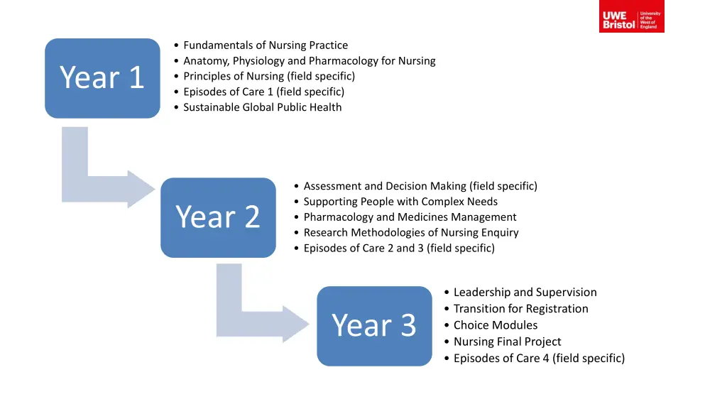 fundamentals of nursing practice anatomy