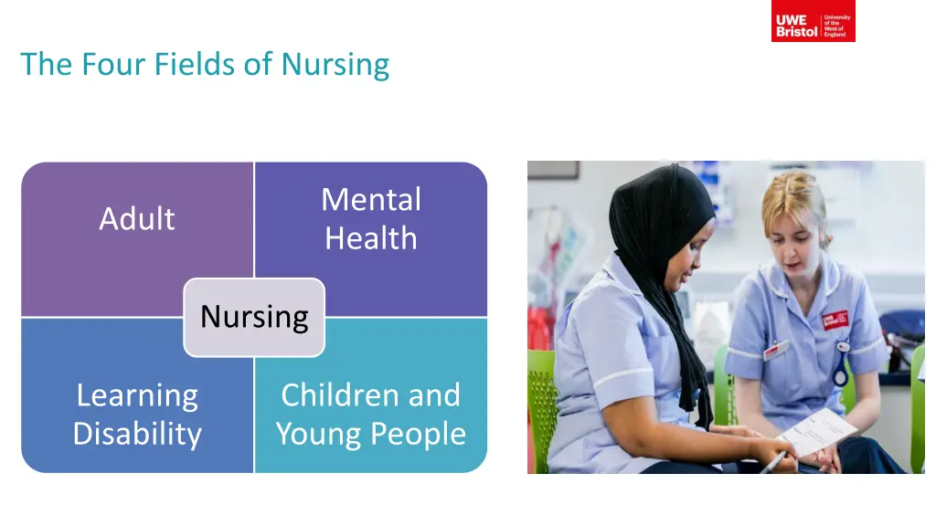 the four fields of nursing