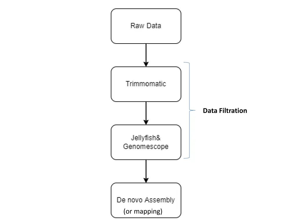 data filtration