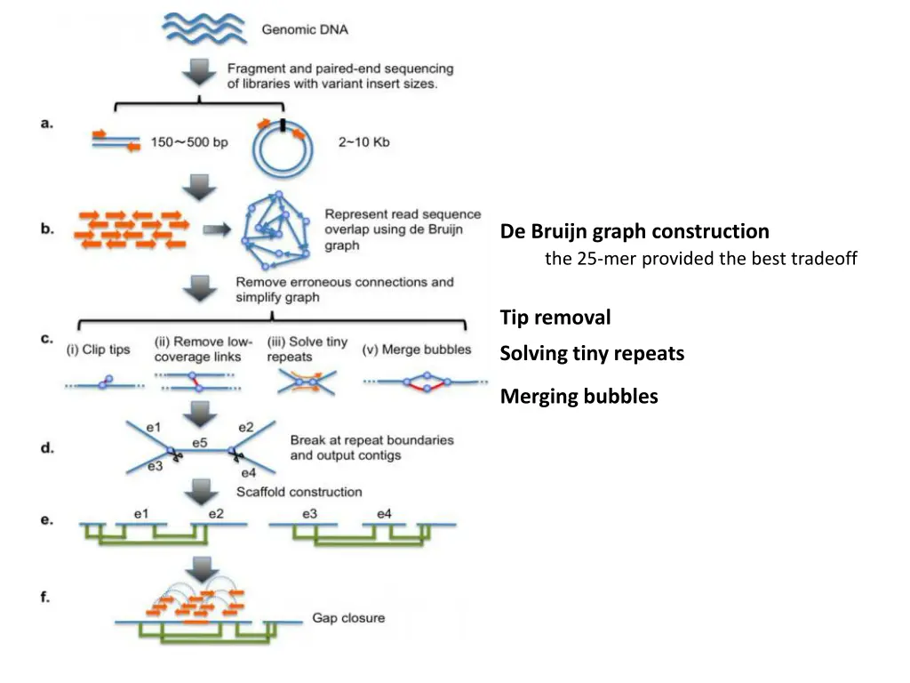 de bruijn graph construction