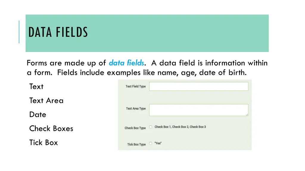 data fields