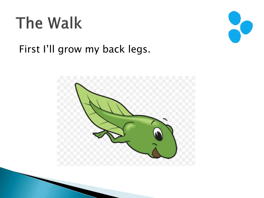 first i ll grow my back legs