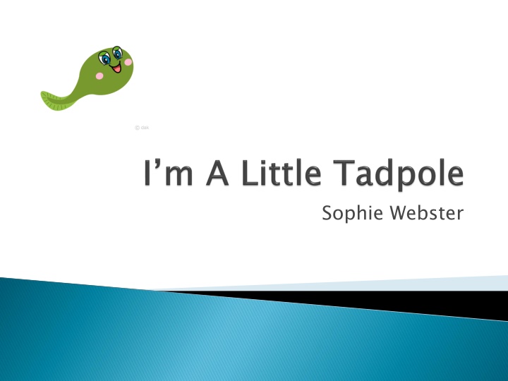 sophie webster