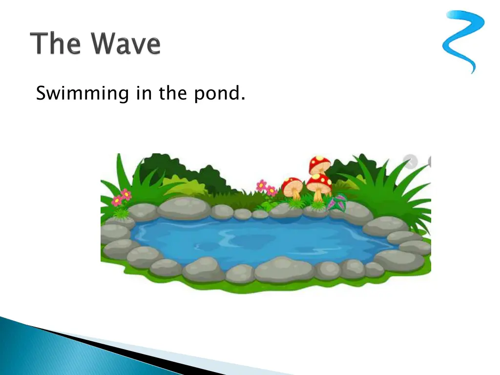 swimming in the pond