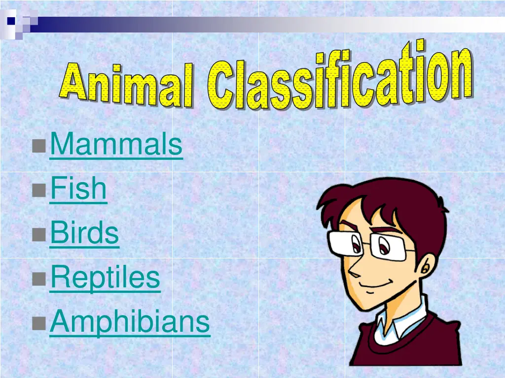 animal classification