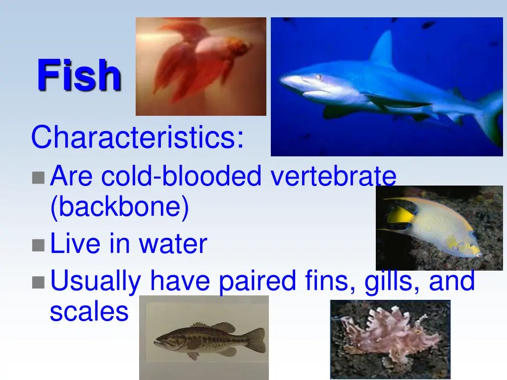 slide6