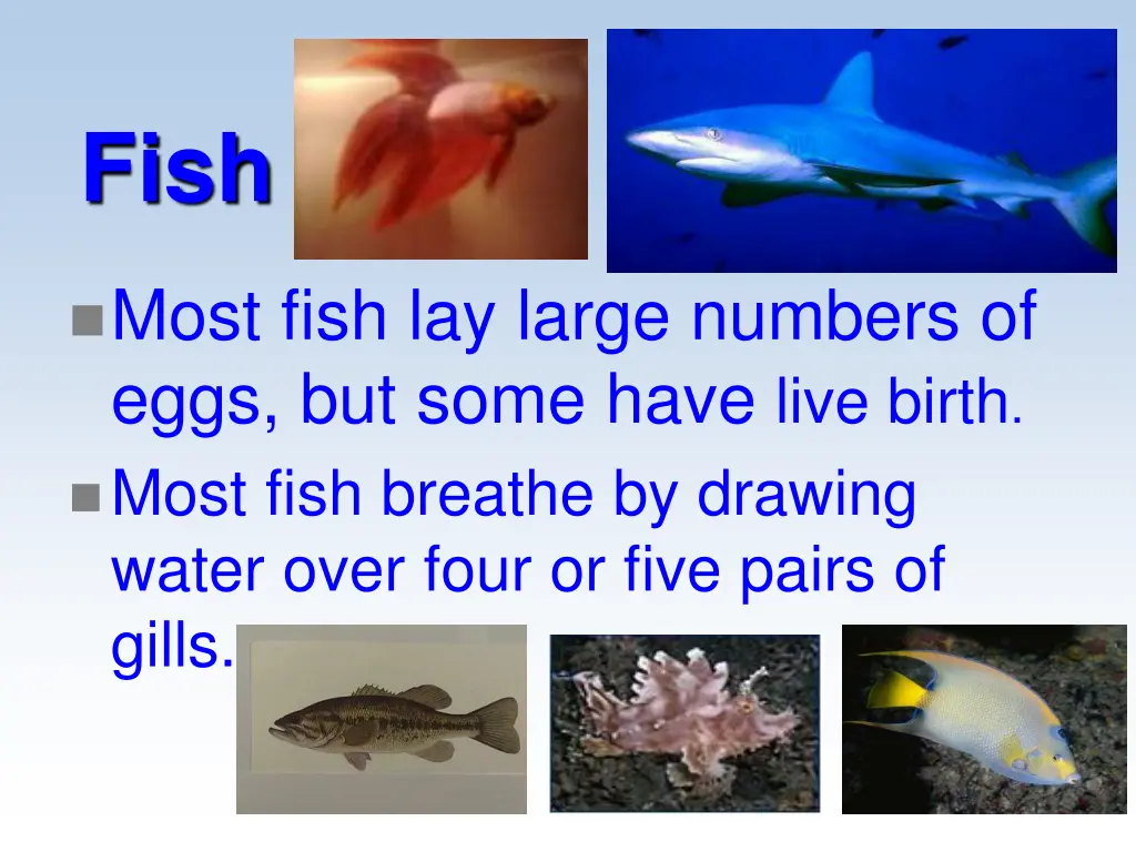slide7