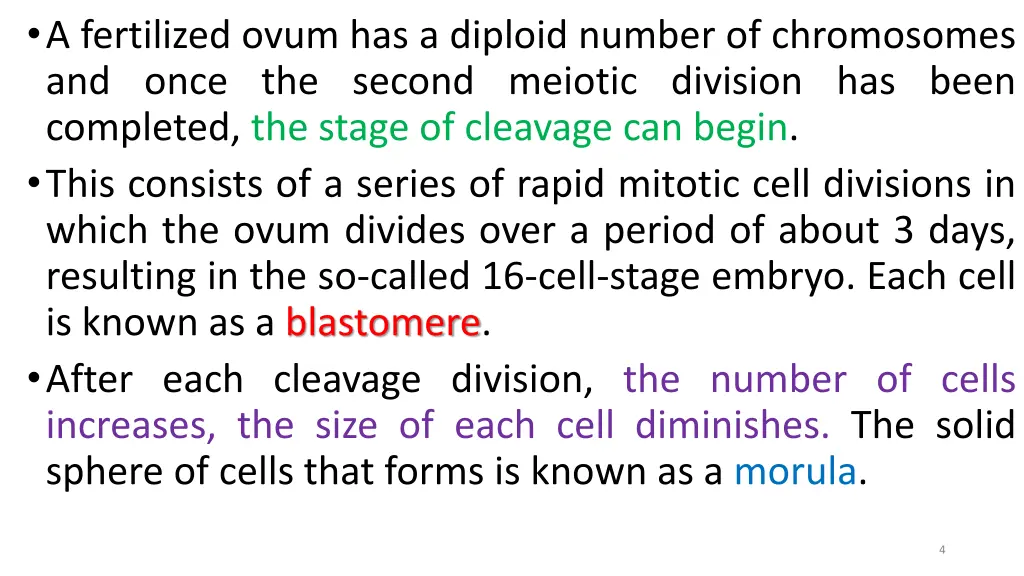 a fertilized ovum has a diploid number