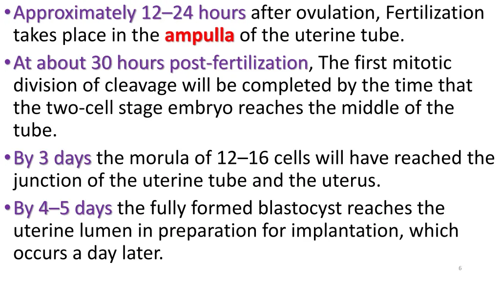 approximately 12 24 hours after ovulation