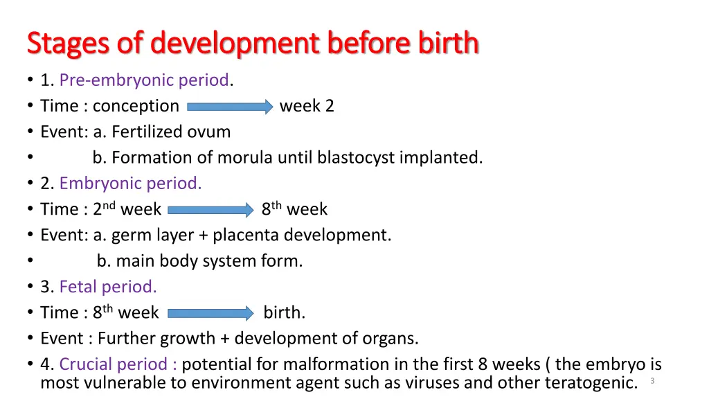stages of development before birth stages