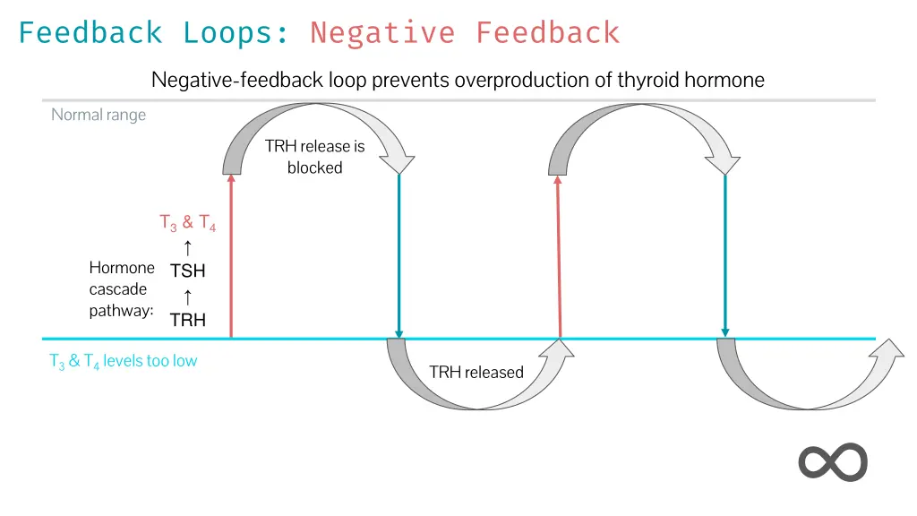 feedback loops negative feedback