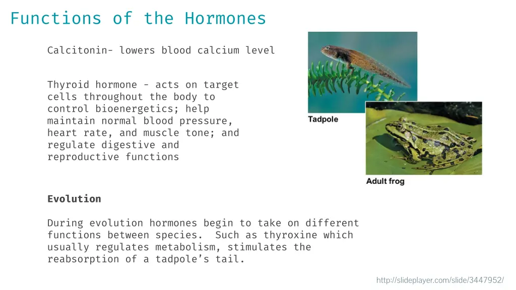 functions of the hormones