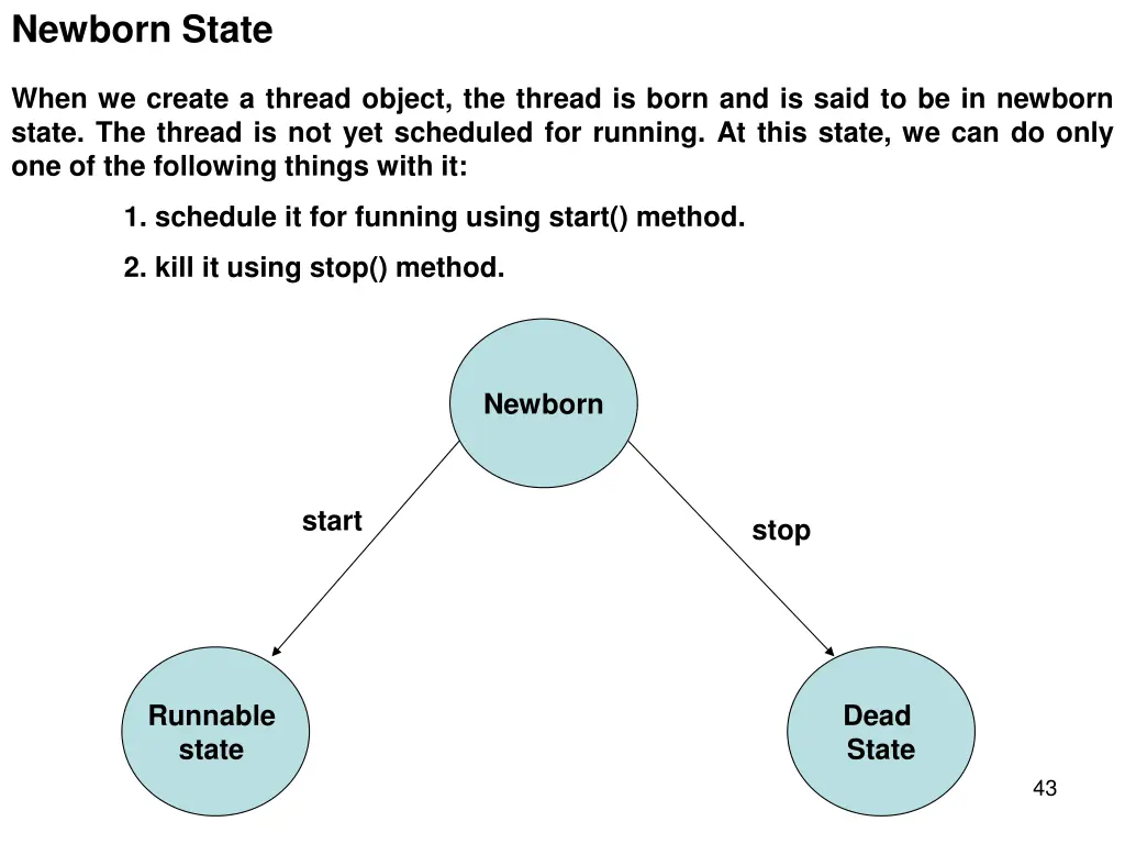 newborn state