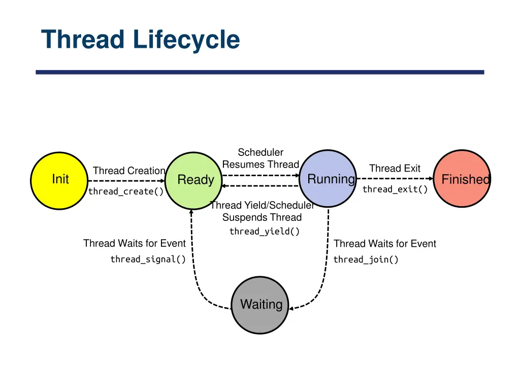 thread lifecycle