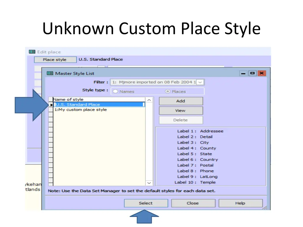 unknown custom place style 3