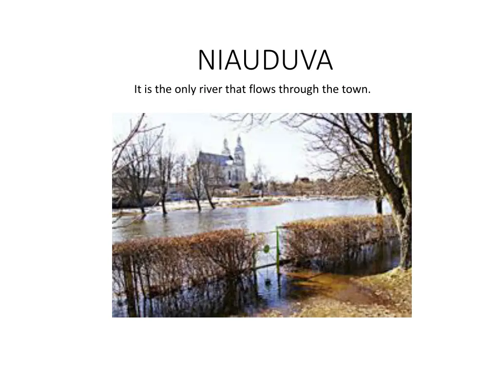 niauduva it is the only river that flows through