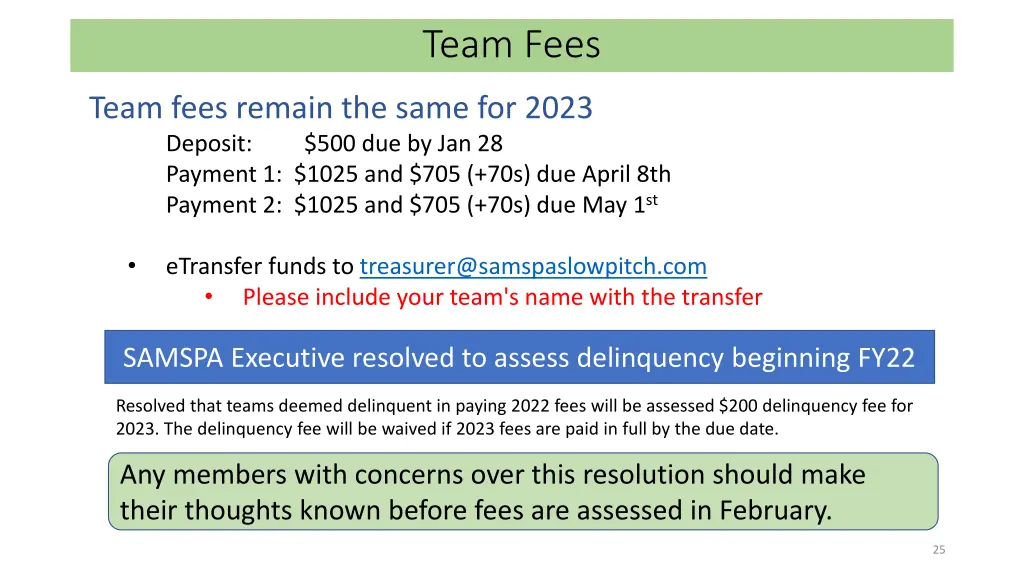 team fees