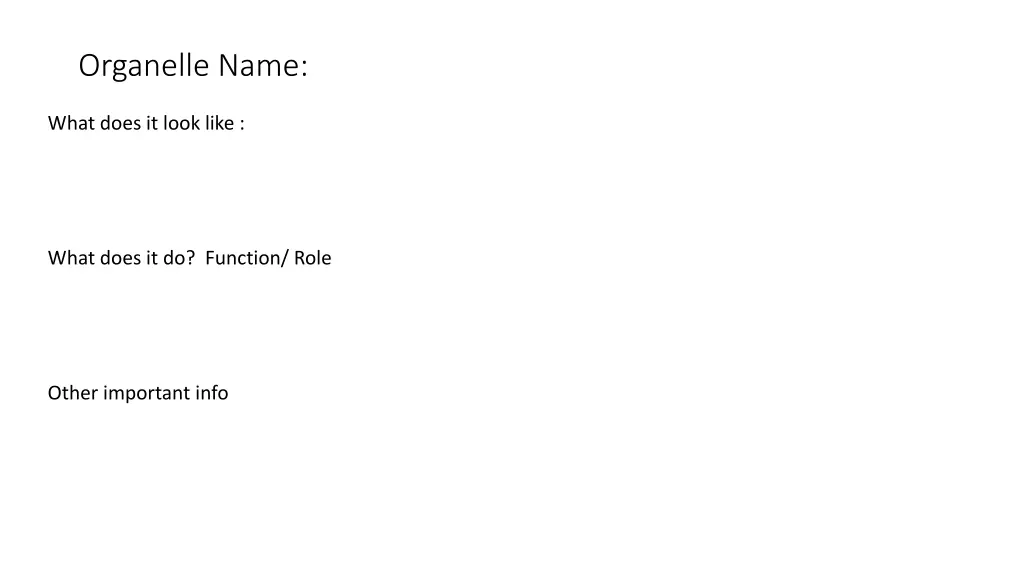 organelle name 3