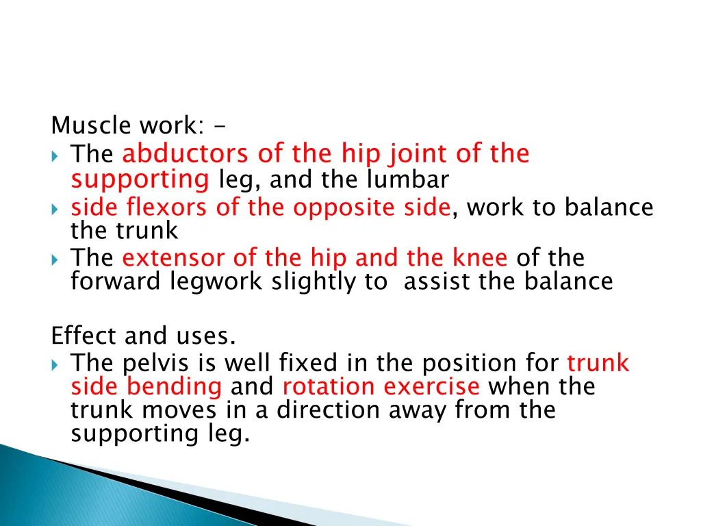 muscle work the abductors of the hip joint