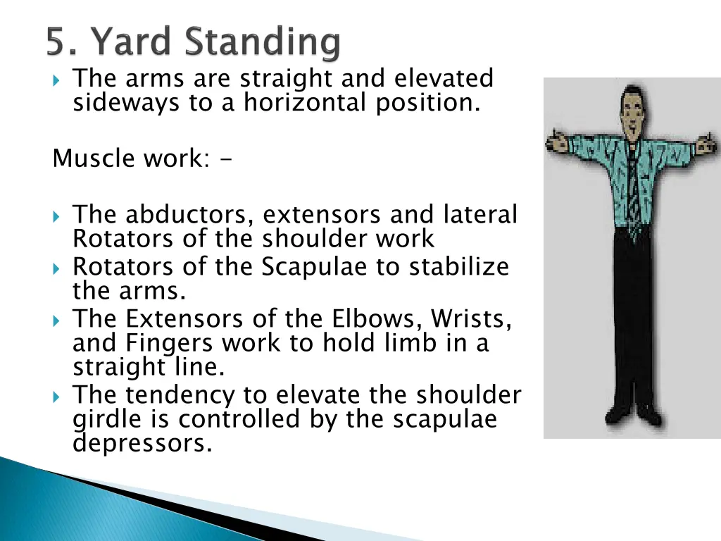 the arms are straight and elevated sideways