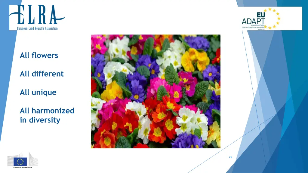 all flowers