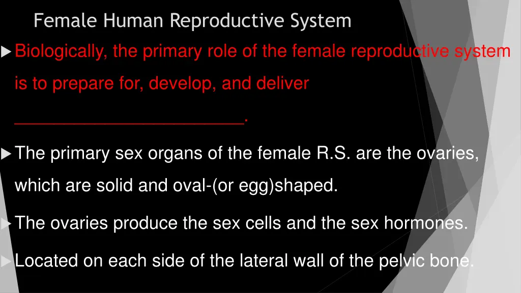 female human reproductive system