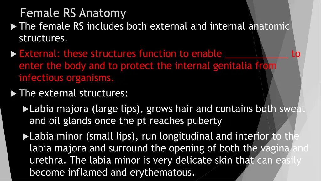 female rs anatomy the female rs includes both